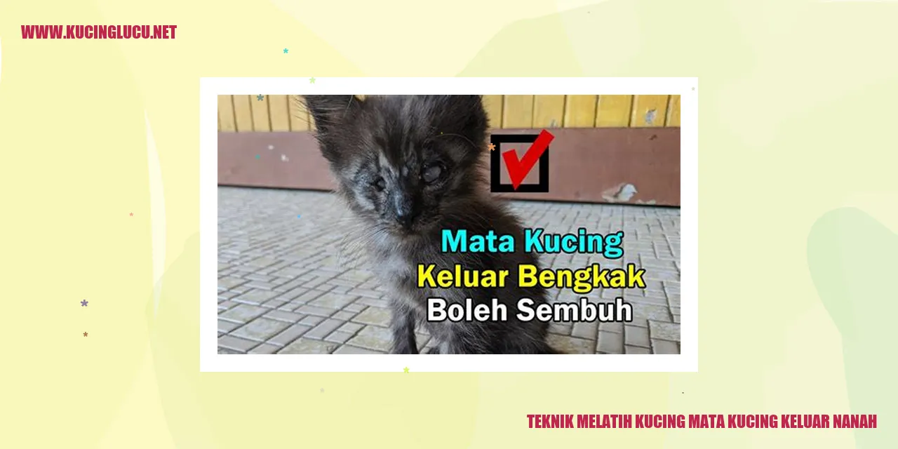 Gambar Kucing dengan mata kucing bernanah