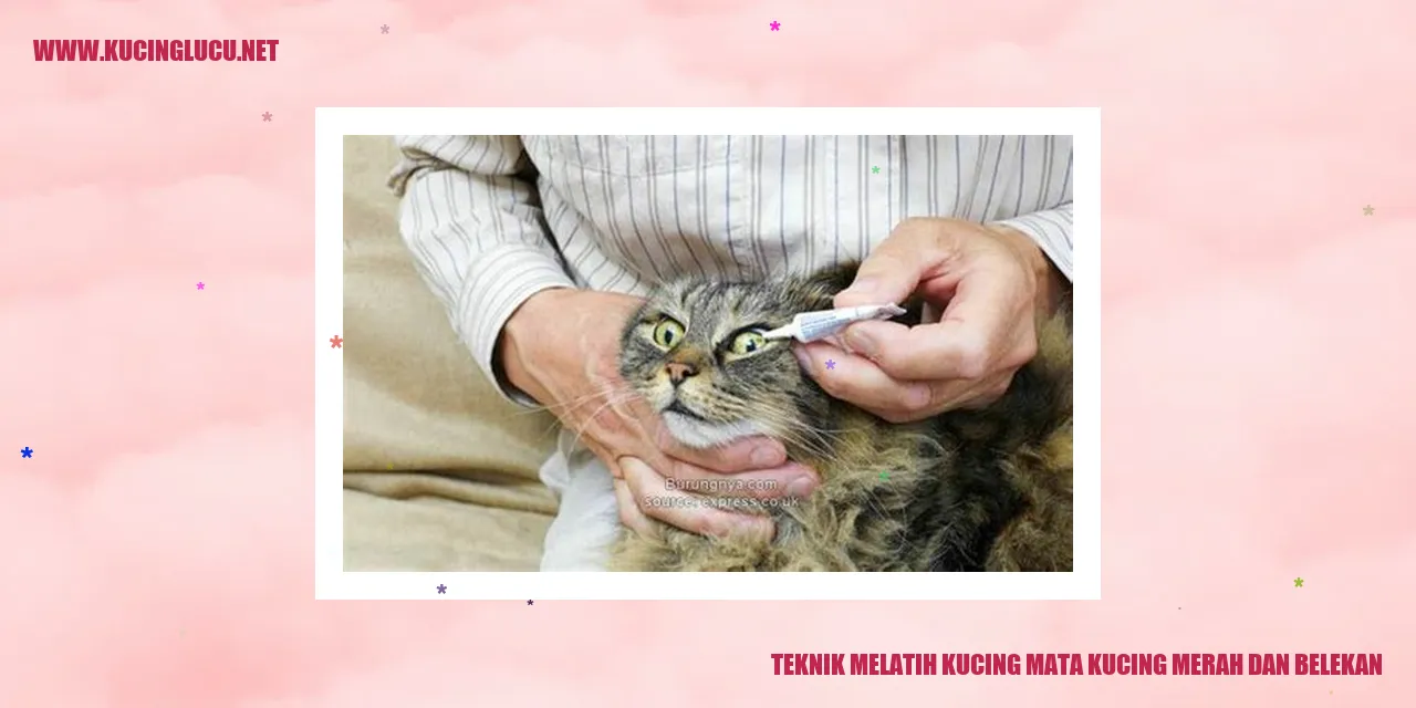 Kucing dengan mata merah dan belekan