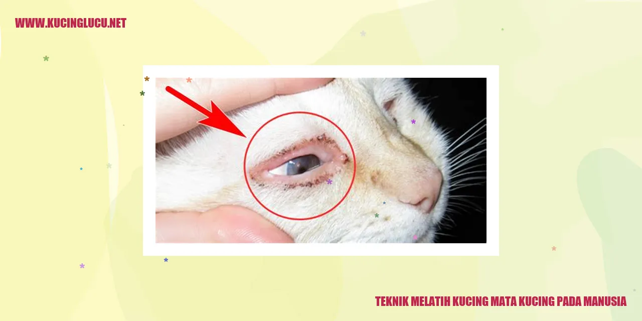 Gambar kucing menggemaskan