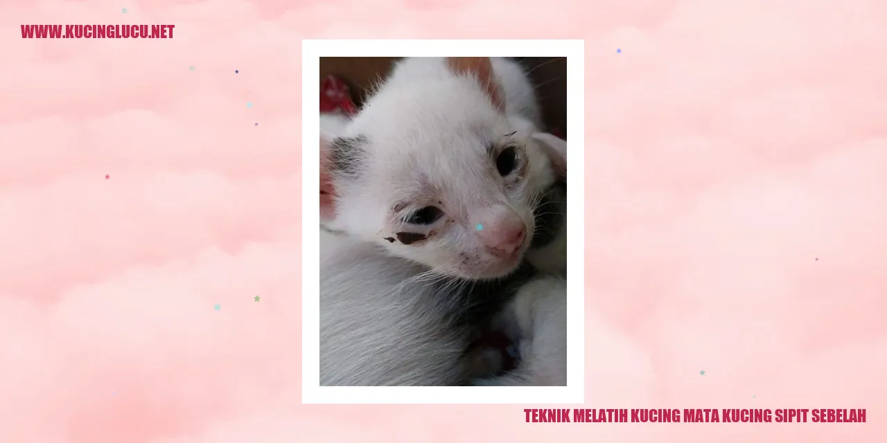 Mata Kucing Sipit Sebelah