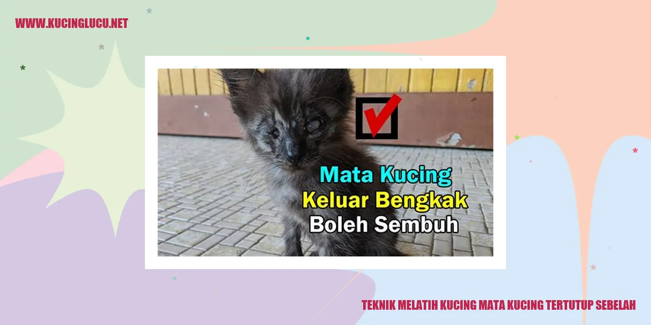 Gambar Kucing yang Mate Tertutup
