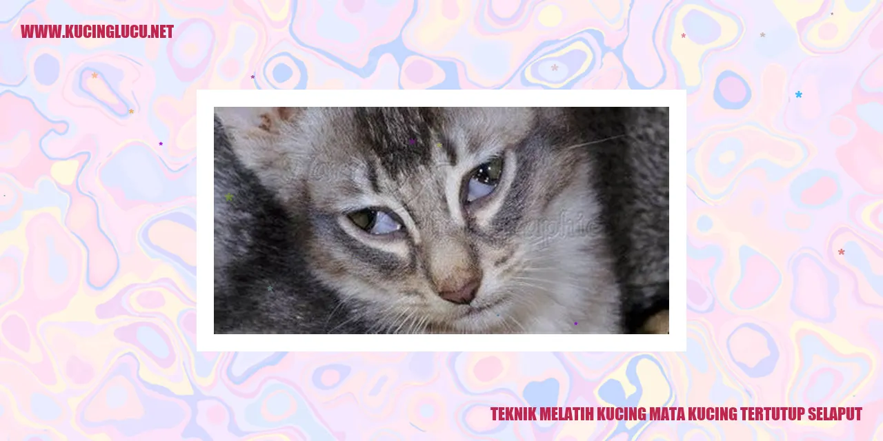 Kucing Sedang Tidur