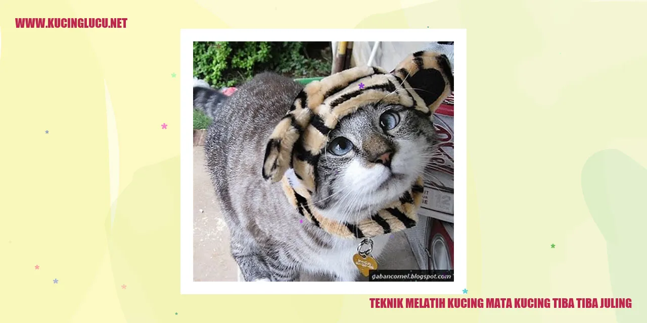 gambar kucing