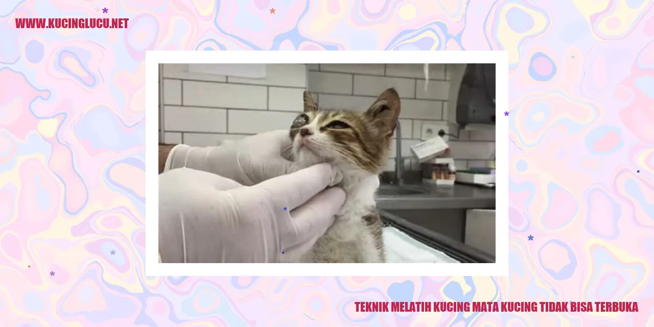 Gambar seekor kucing yang tertidur