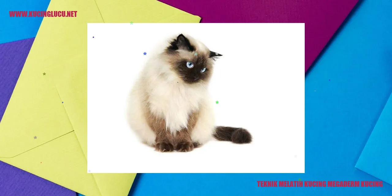 Teknik Melatih Kucing