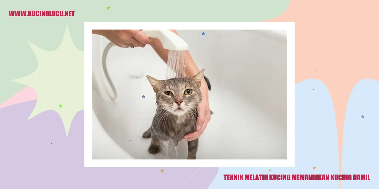 Gambar Kucing Hamil