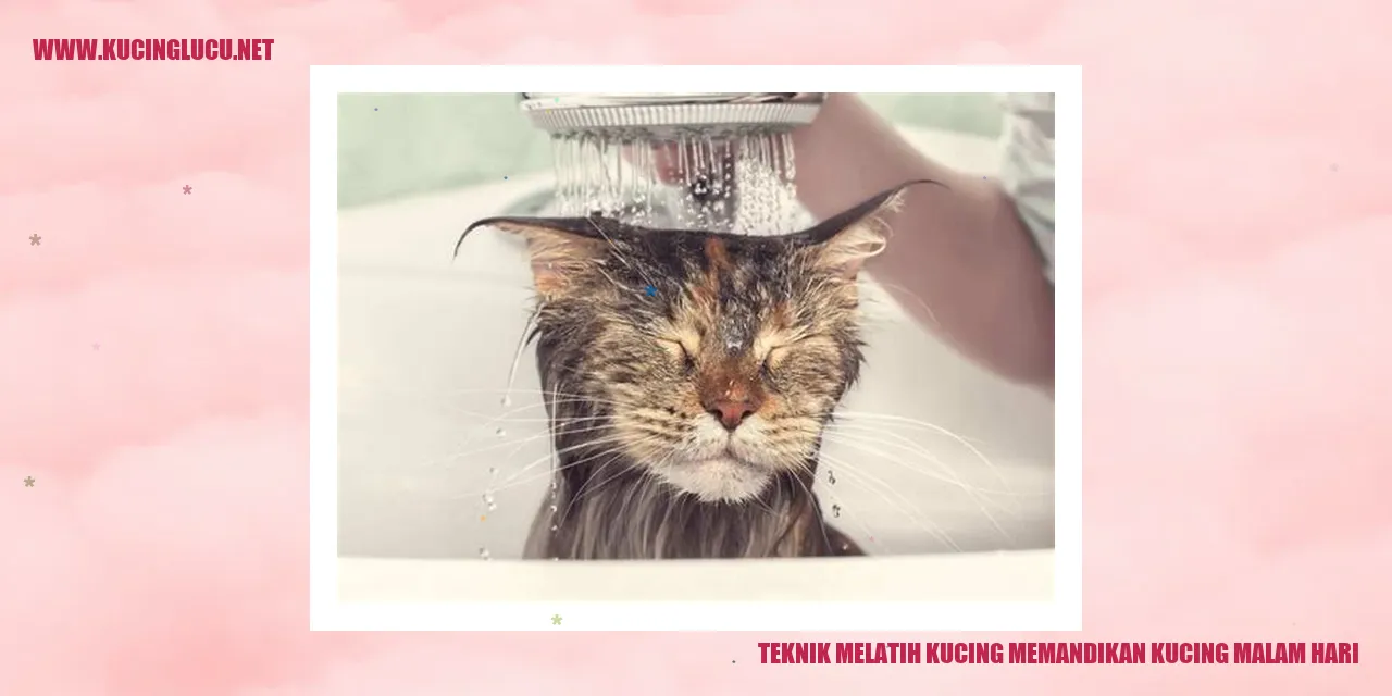 Foto Kucing