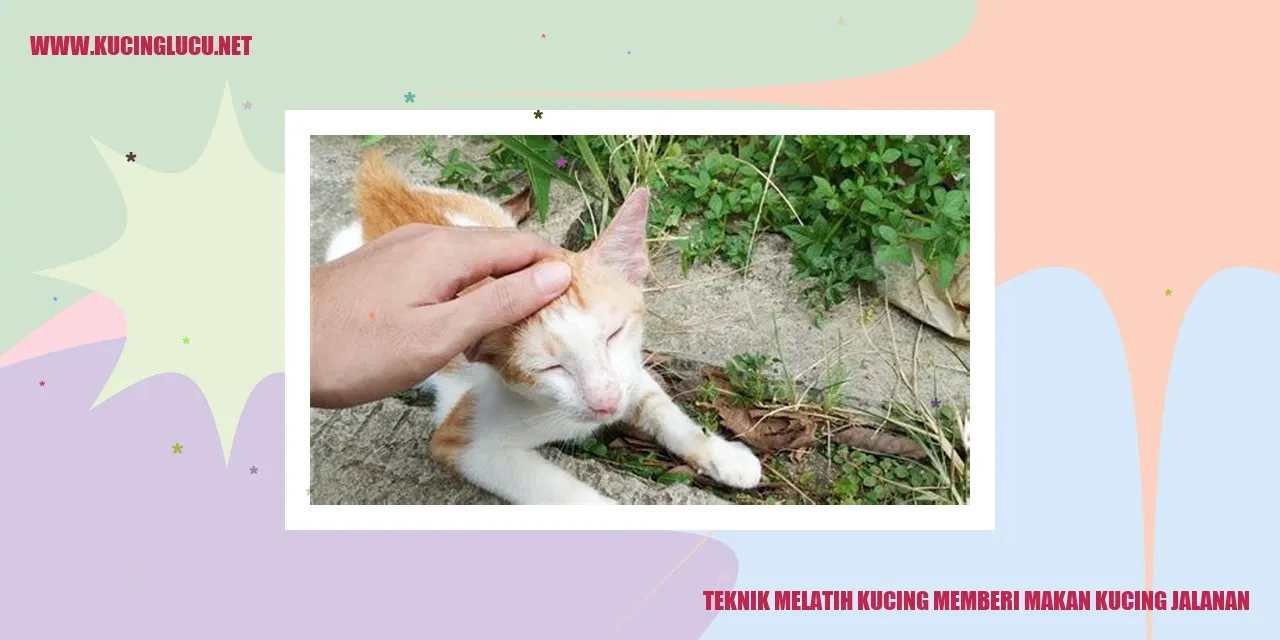 Gambar kucing makan