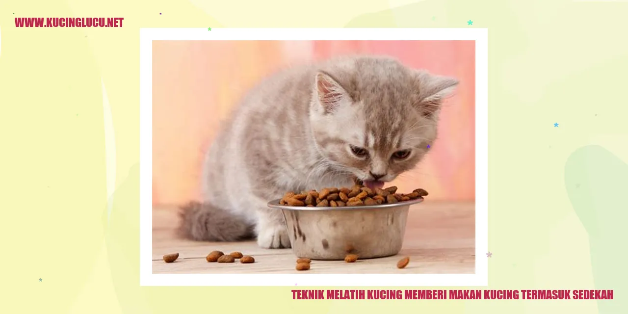 gambar kucing sedang diberi makan