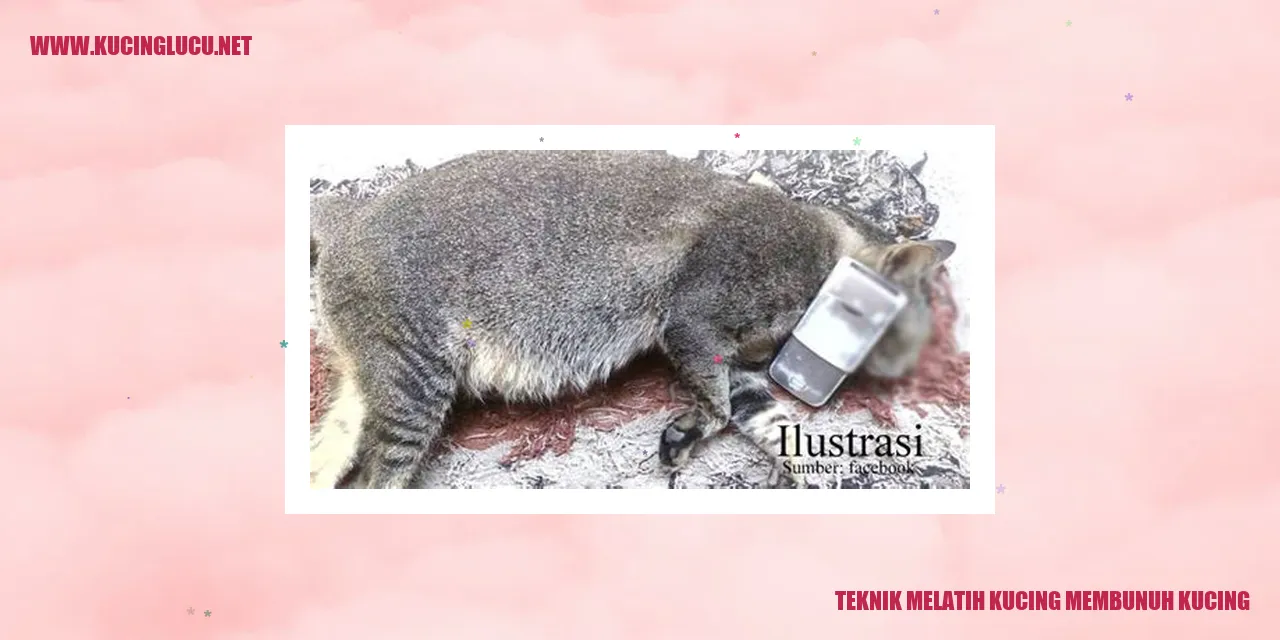 Teknik Melatih Kucing Membunuh Tikus