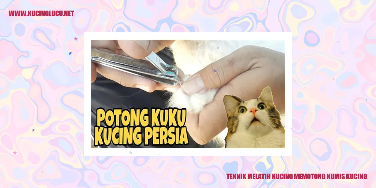 Gambar Kucing