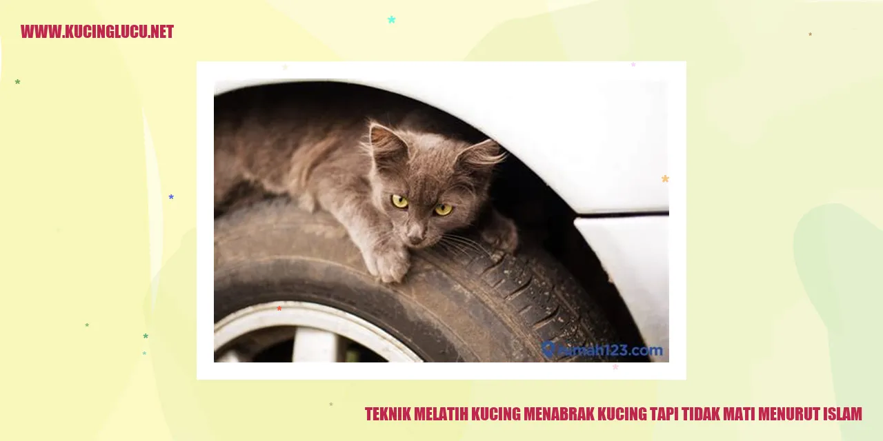 Kelatihan Kucing dengan Aman