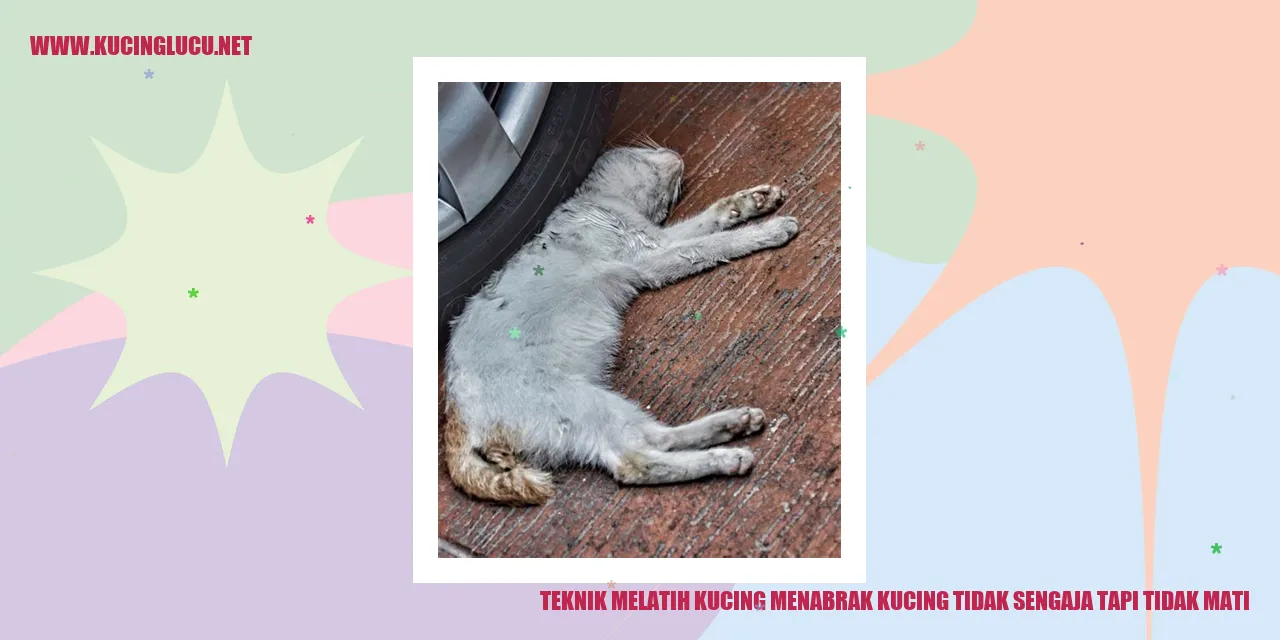 Gambar Kucing yang Aktif
