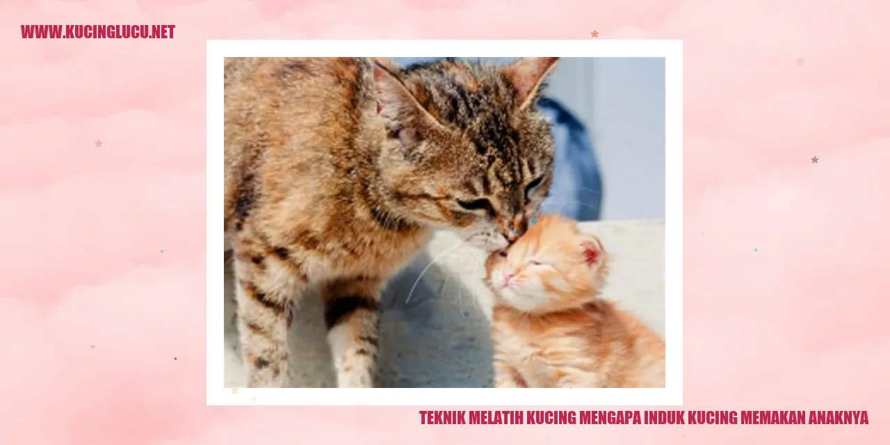 Gambar kucing memakan anaknya