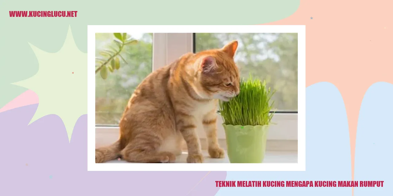 Gambar kucing yang memakan rumput