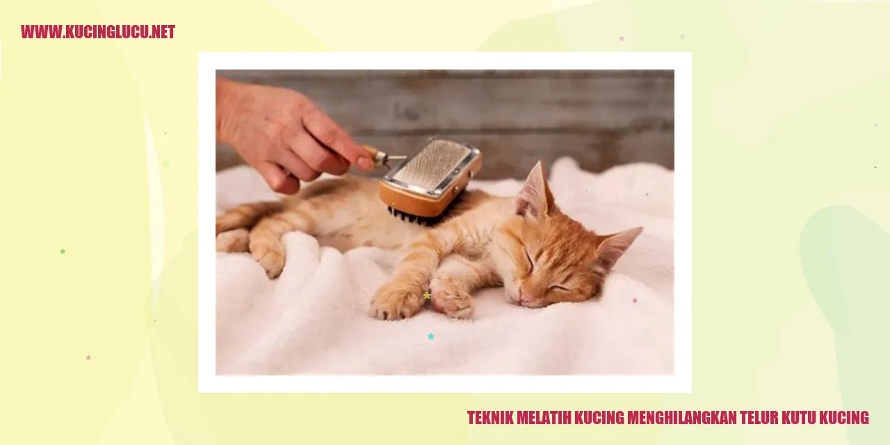 Kucing yang Terinfeksi Kutu