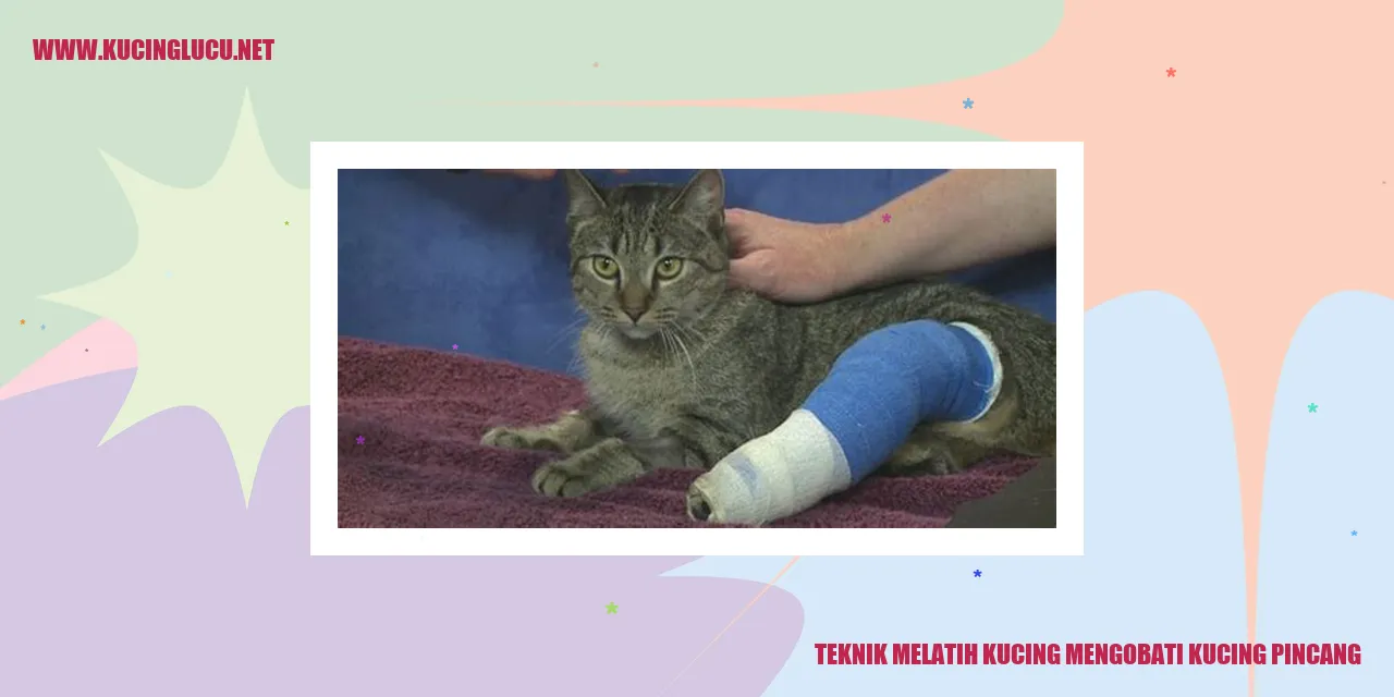 Gambar kucing melatih kucing pincang