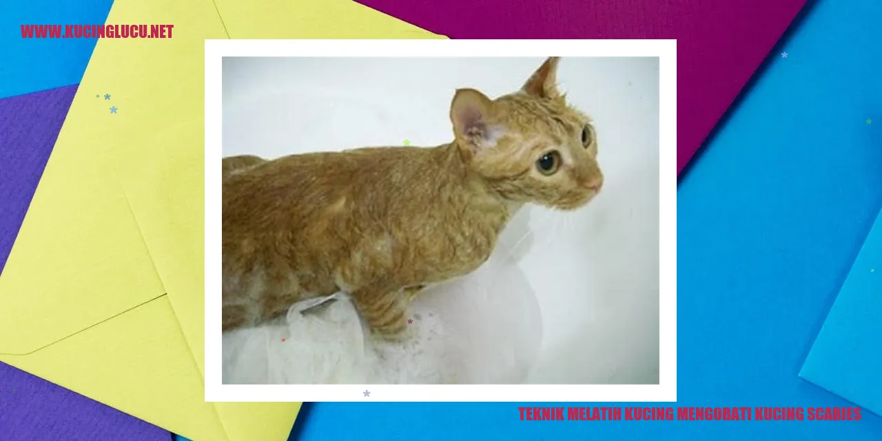 Gambar kucing scabies