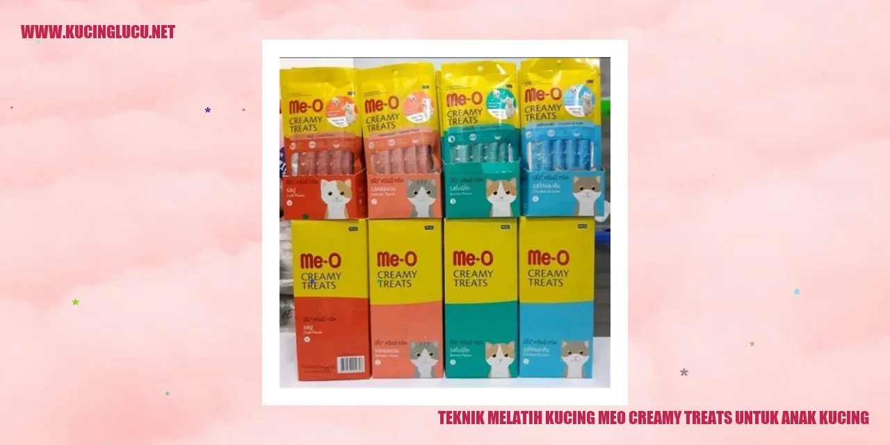 Teknik Melatih Kucing