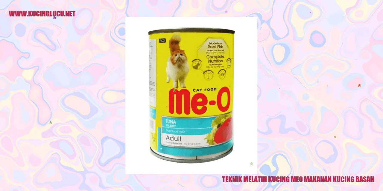 Gambar Kucing Makan Makanan Basah