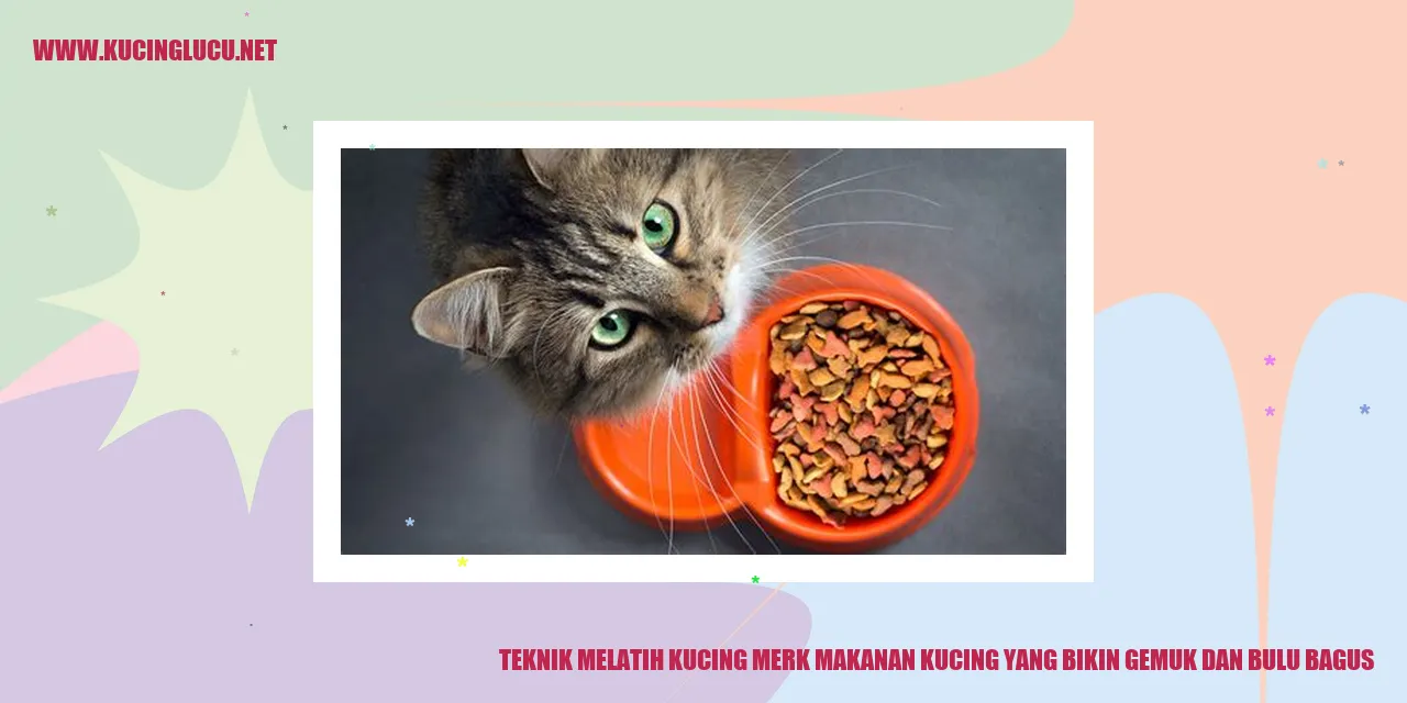 Teknik Melatih Kucing merk makanan kucing yang bikin gemuk dan bulu bagus