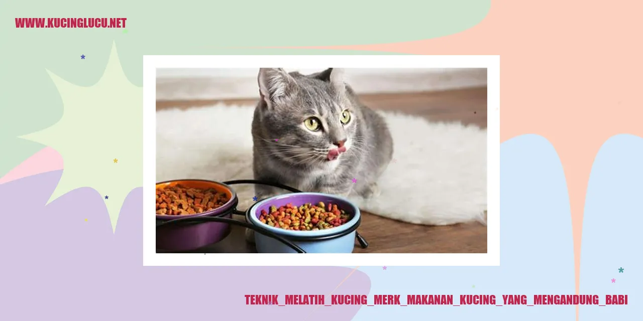 Gambar kucing