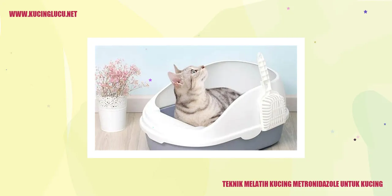 Kucing yang Memakan Obat Metronidazole