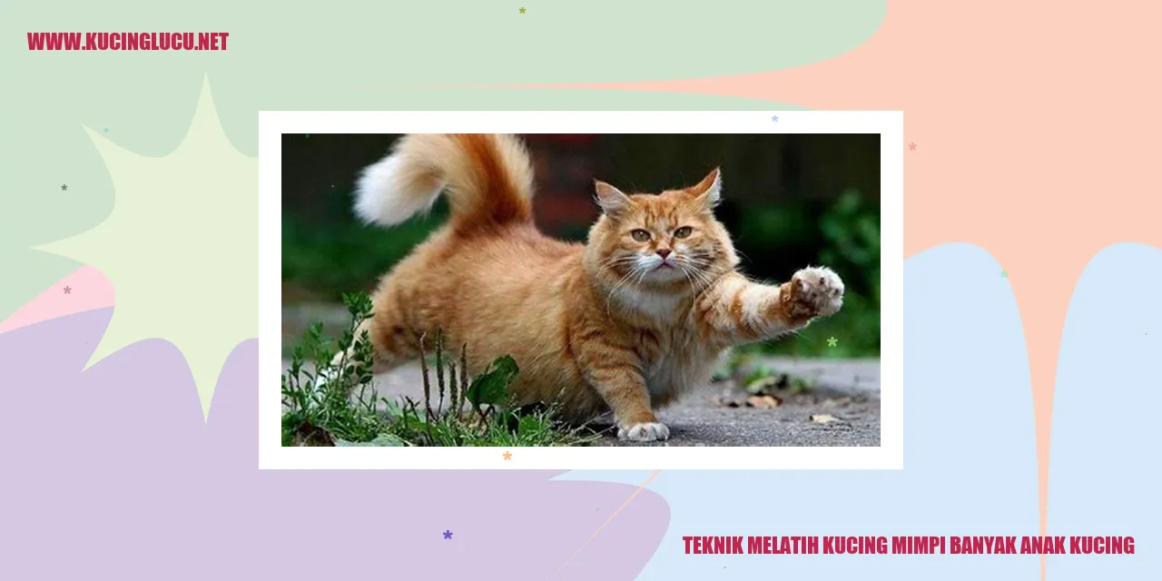 Kucing imut