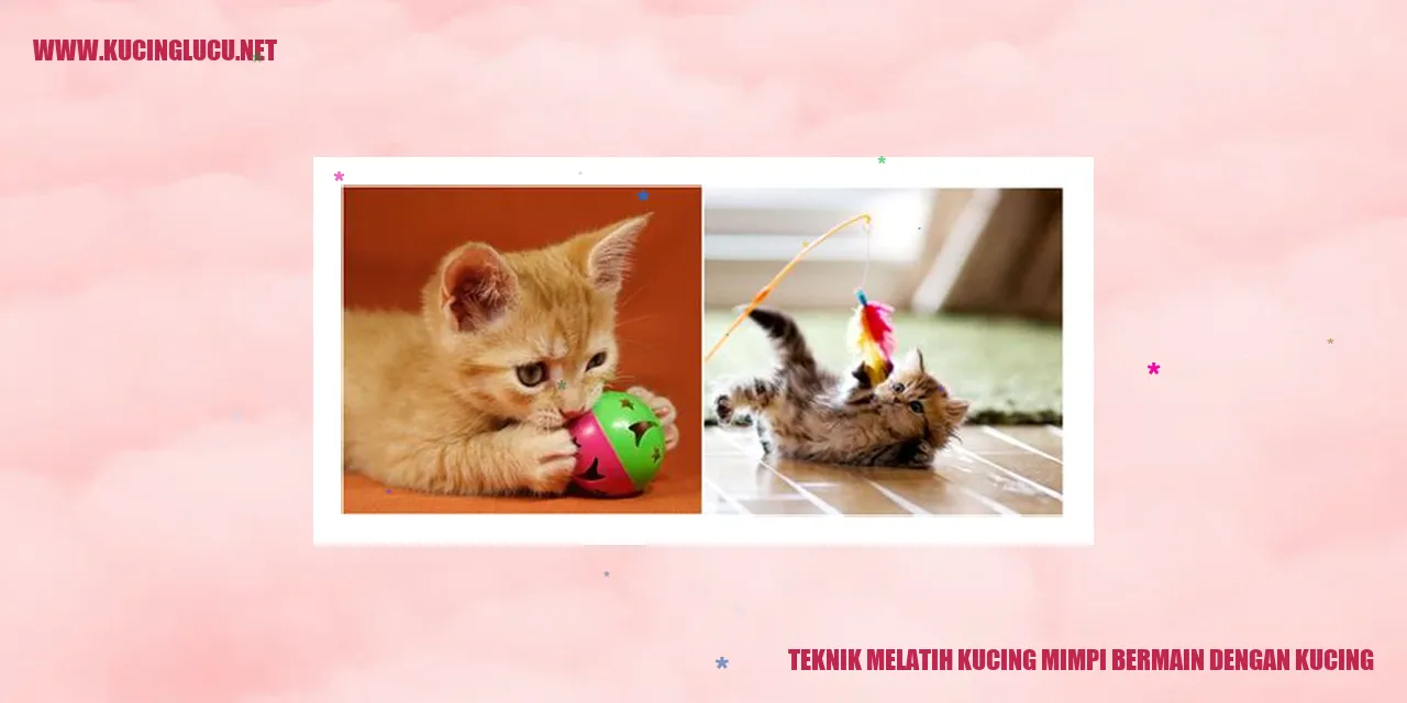 Gambar kucing mimpi bermain dengan kucing
