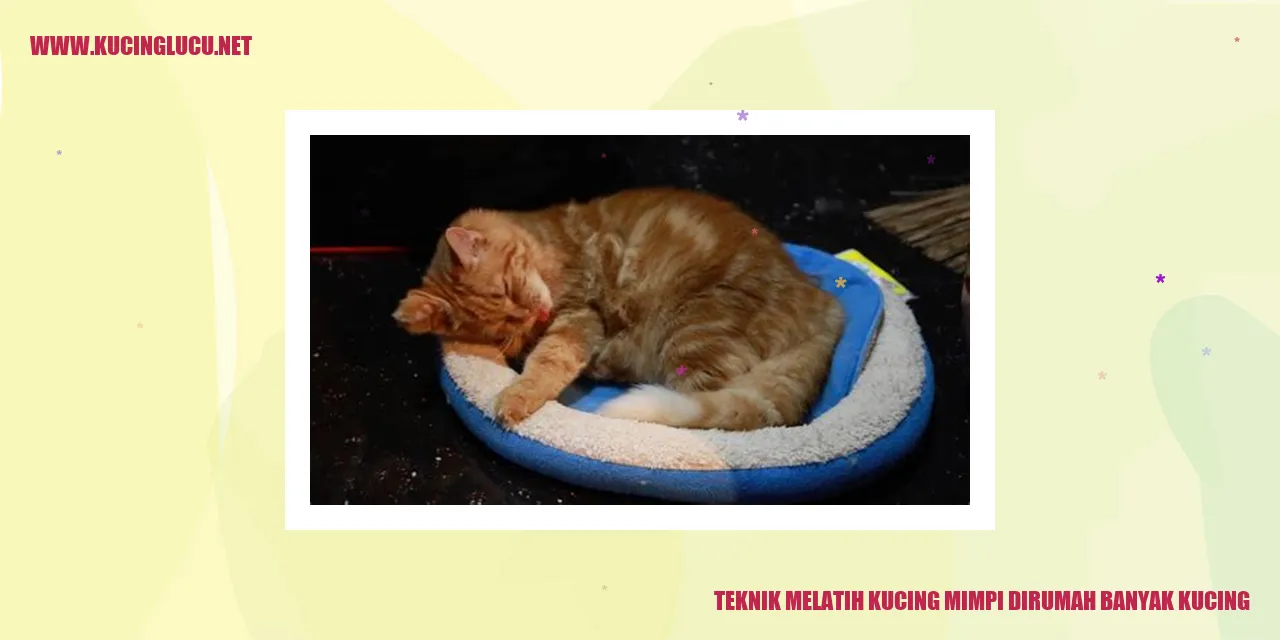 Kucing dalam mimpinya