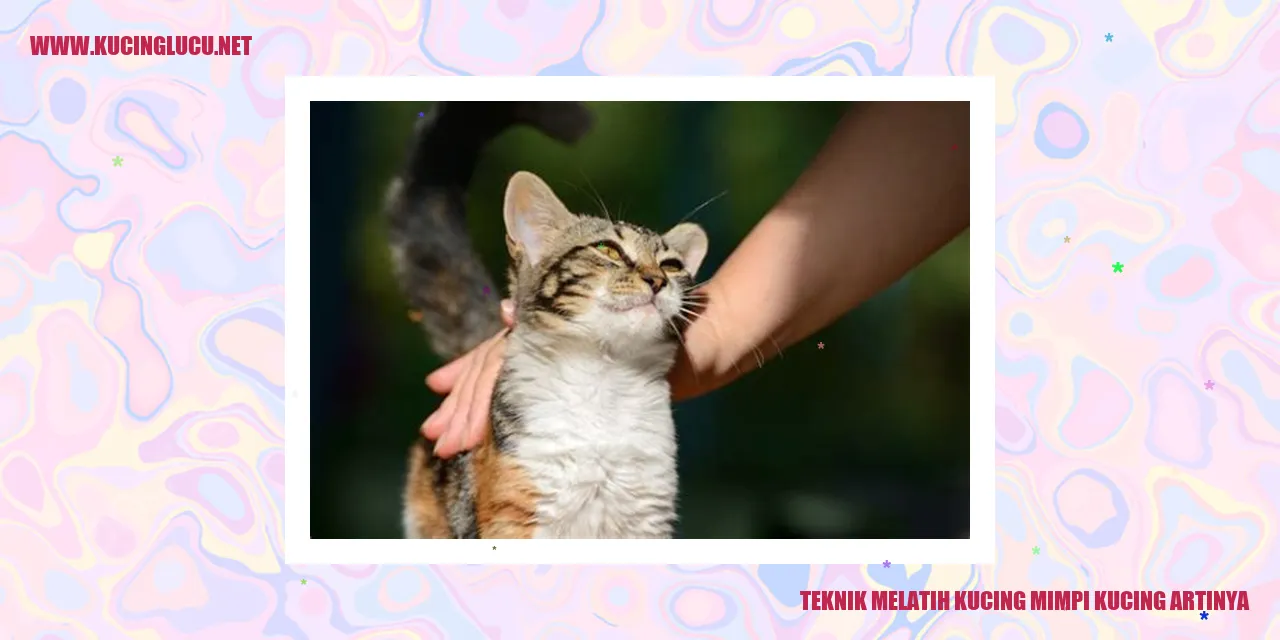 Gambar kucing yang sedang tidur