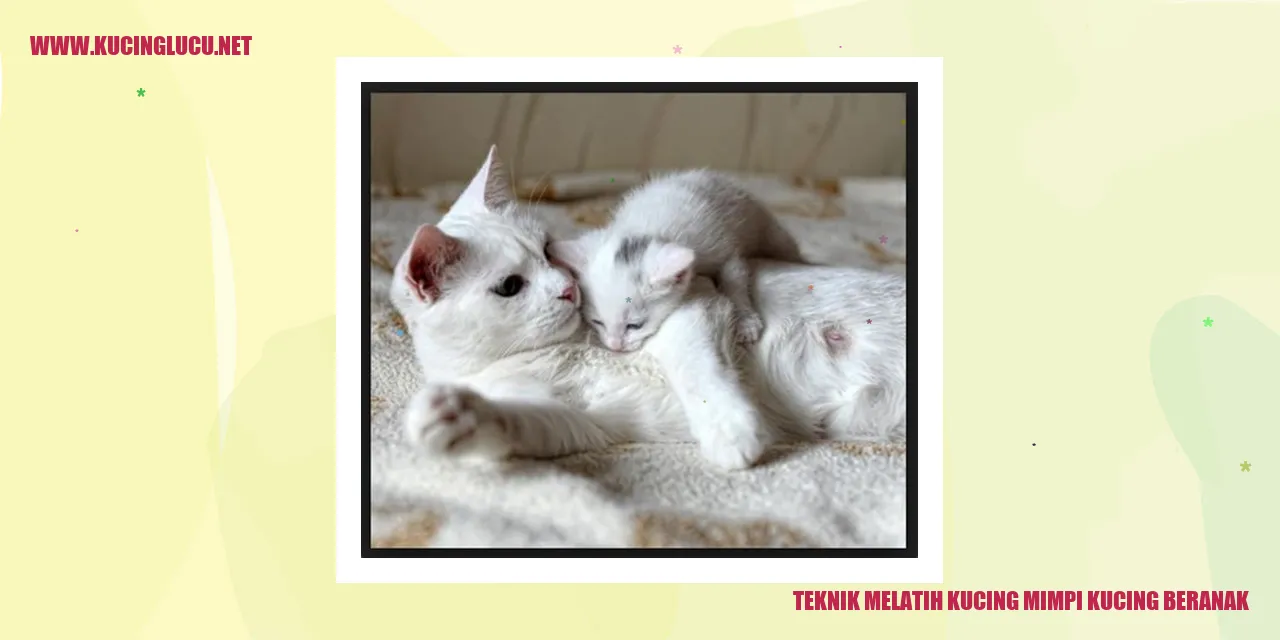 gambar kucing bermimpi melahirkan anak kucing