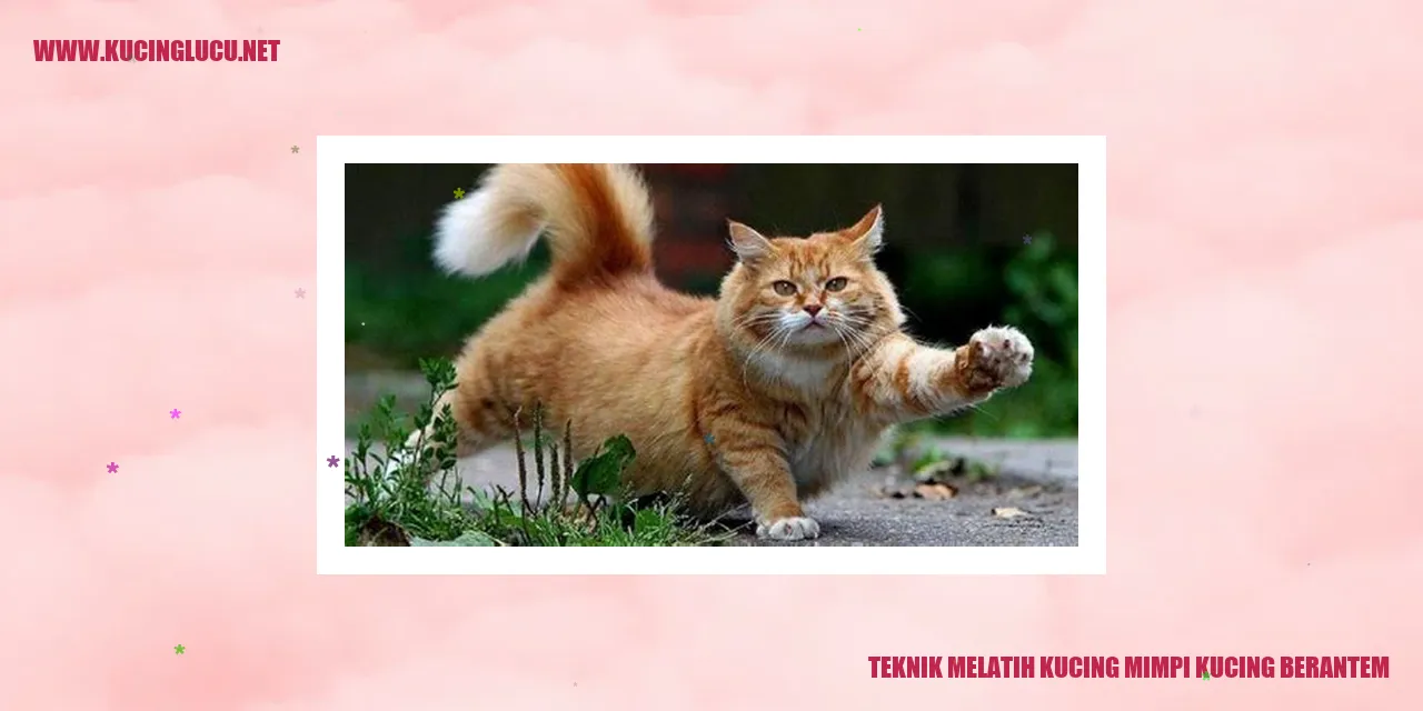 Gambar kucing mimpi berkelahi