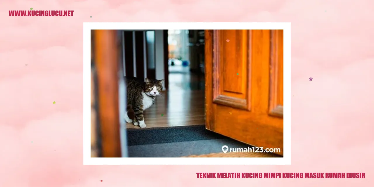 Gambar Kucing yang Menggemaskan