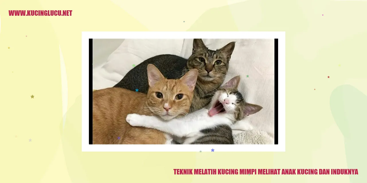 Gambar Kucing