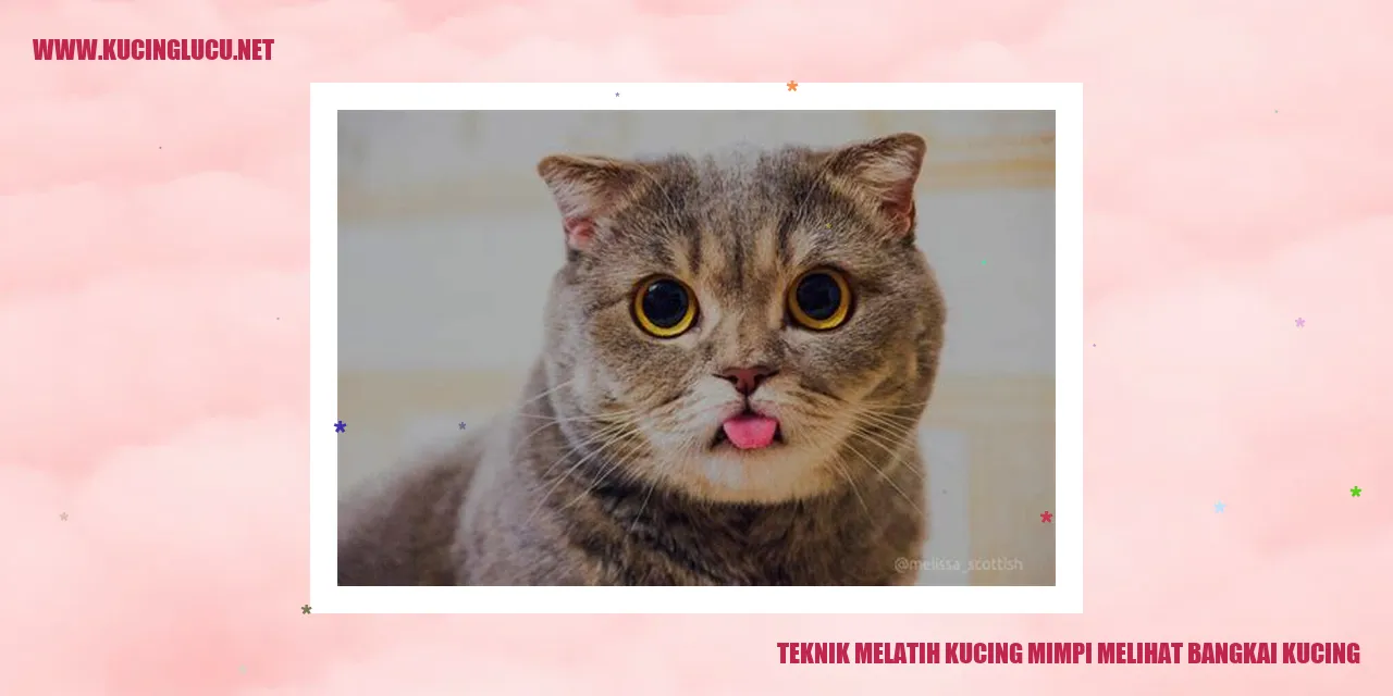 Gambar Kucing yang Menarik