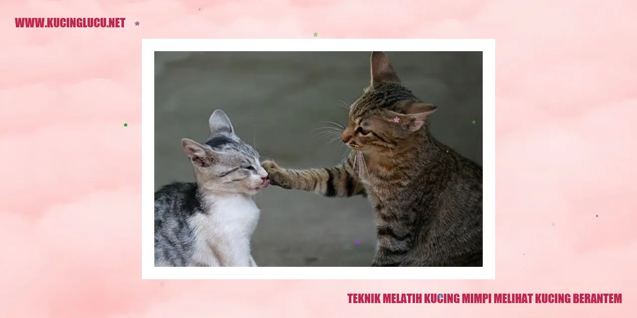 Ilustrasi kucing sedang berantem