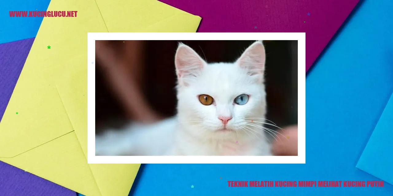 Melatih Kucing