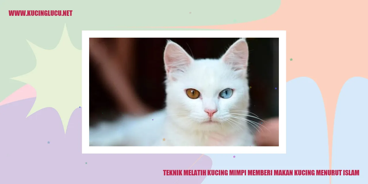Gambar Kucing