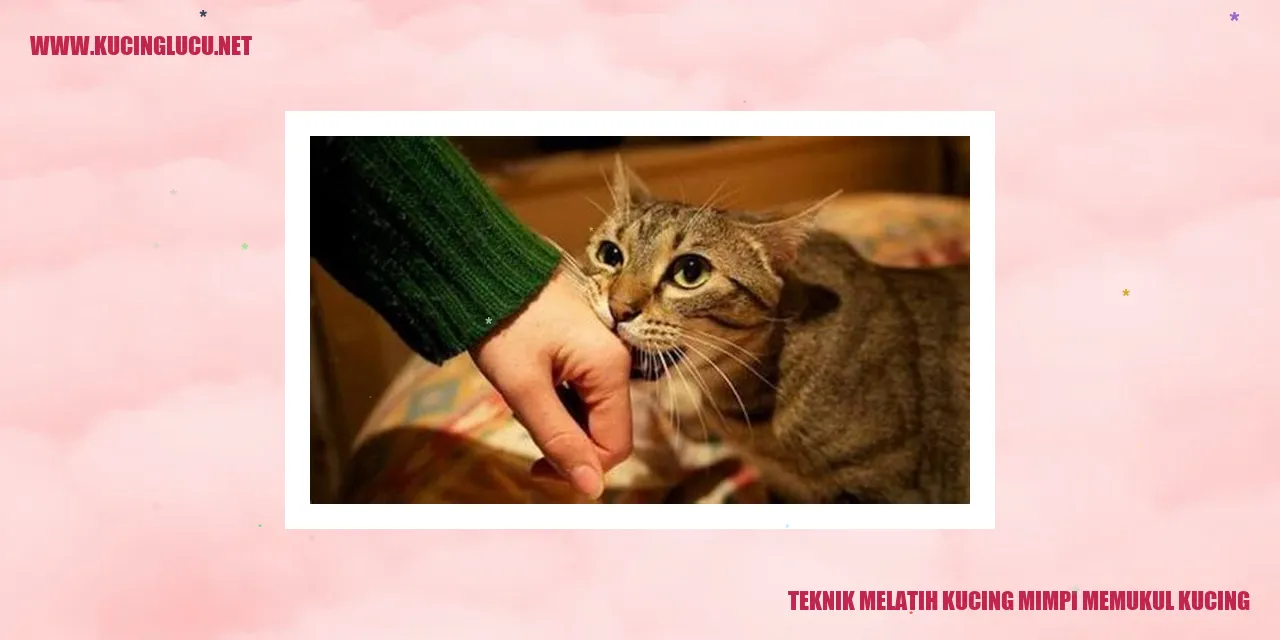 Kucing mimpi memukul kucing