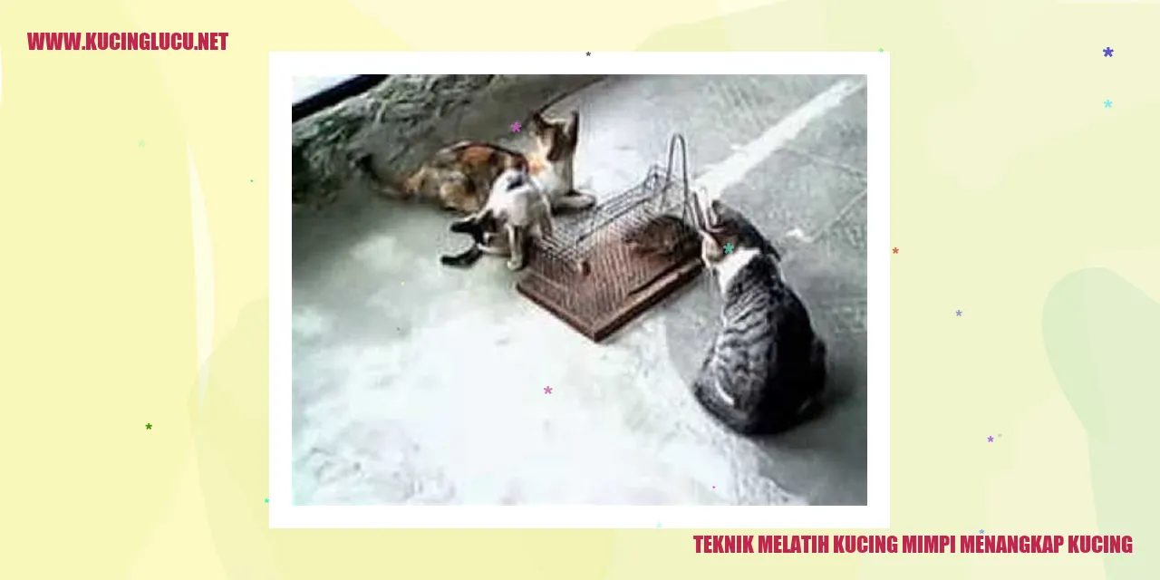 Gambar kucing