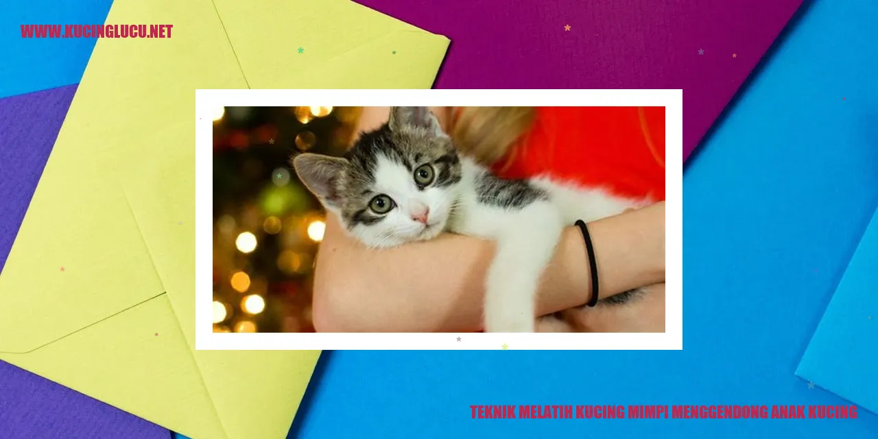 teknik melatih kucing mimpi menggendong anak kucing