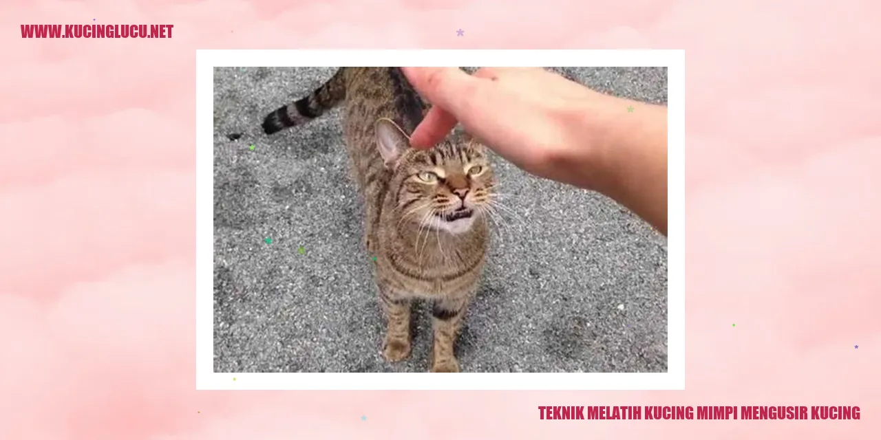 Teknik Melatih Kucing mimpi mengusir kucing