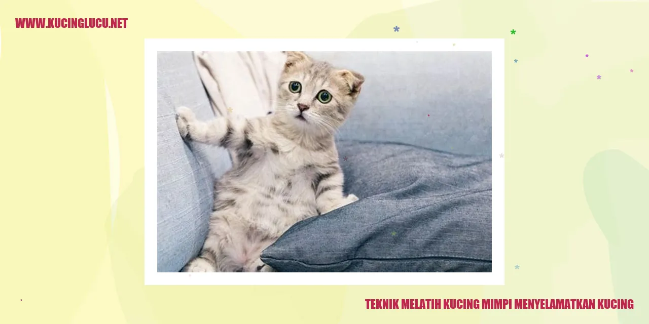 Gambar kucing