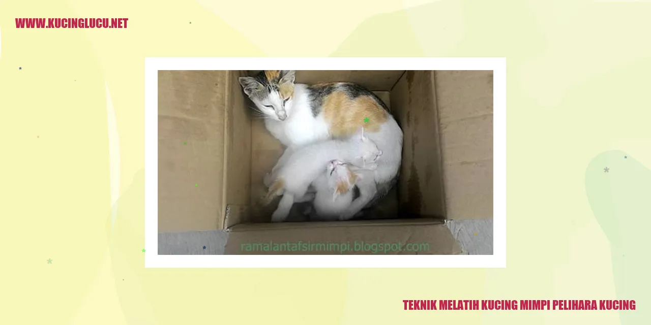 Gambar kucing menggemaskan