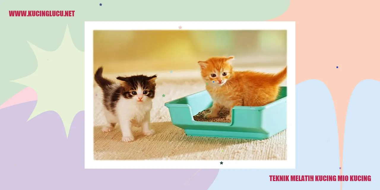 Teknik Melatih Kucing