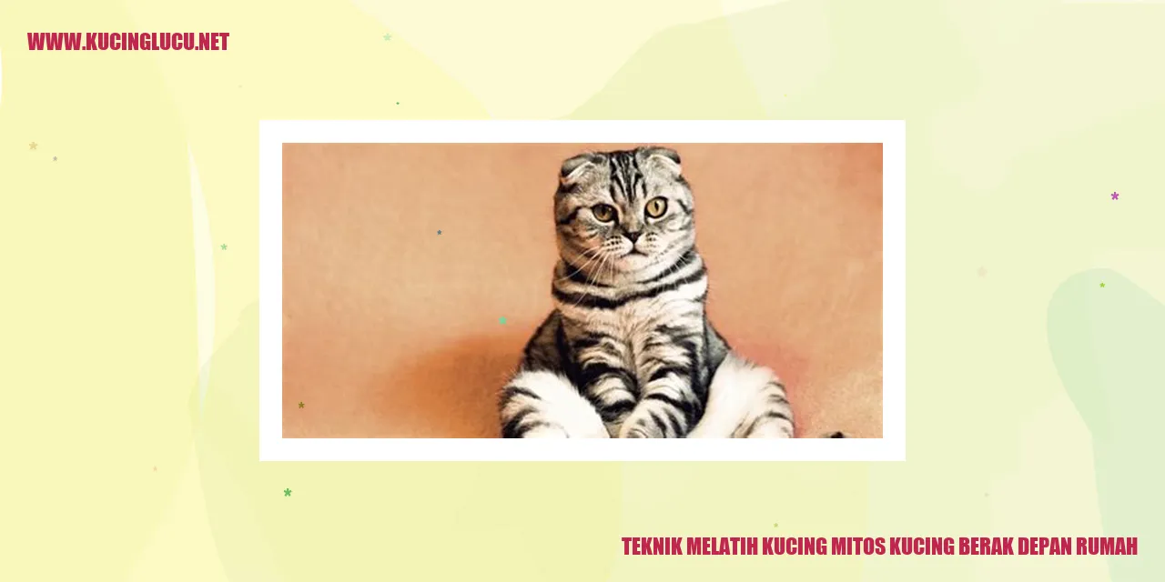 Teknik Melatih Kucing mitos kucing berak depan rumah