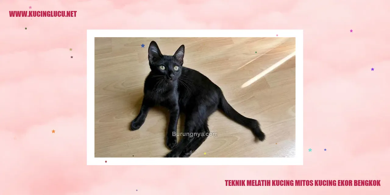 Kucing mitos kucing ekor bengkok