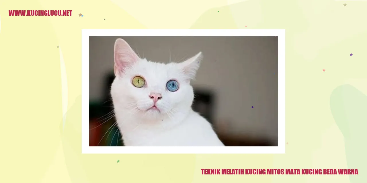 Gambar Mata Kucing