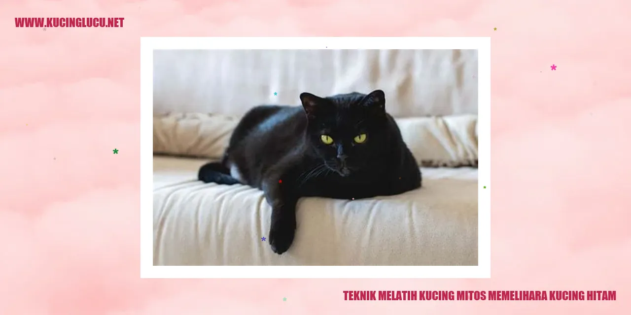 Kucing Hitam